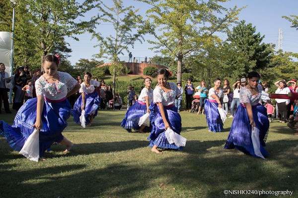アースなあの人：日本マリネラ協会　高林麻子さん（写真3）