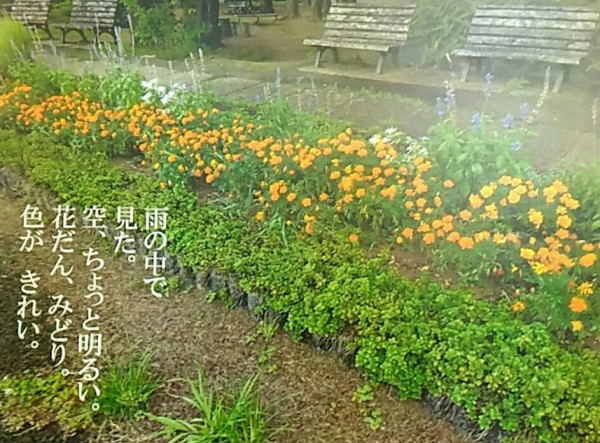 参加者紹介：シャンティ・つくば 福原美紀さん「この子たちのこと、神様だと思ってます。」（写真2）