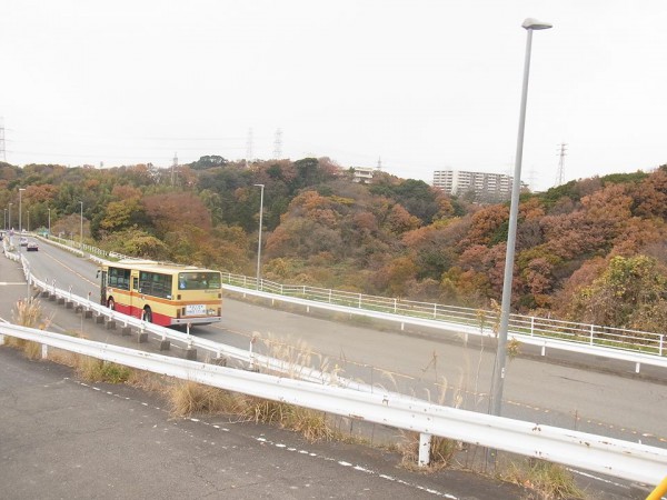 岡田陽太さん　瀬上沢開発の署名運動について（写真1）