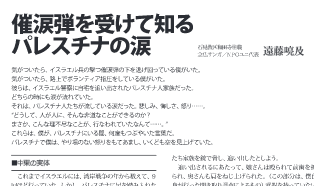 パレスチナ活動レポート（写真1）